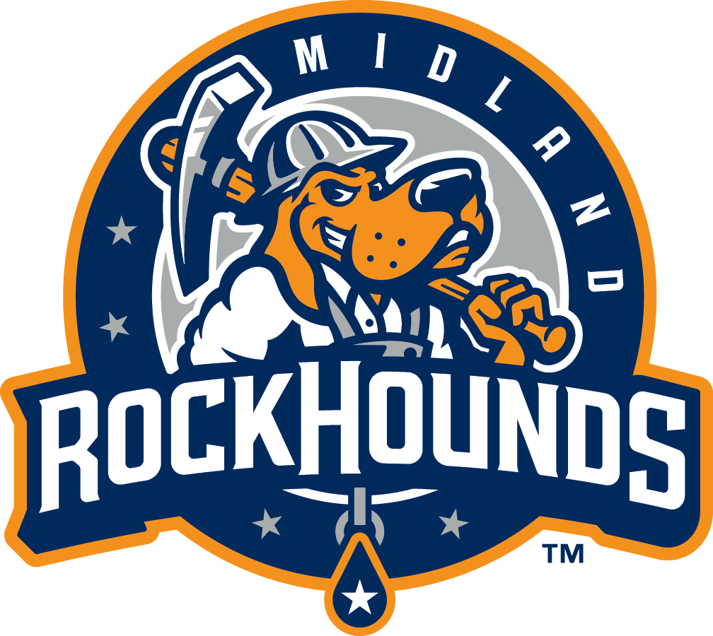 Team Logo